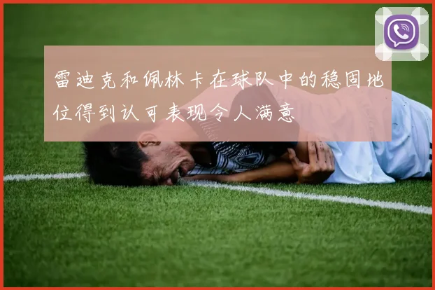 雷迪克和佩林卡在球队中的稳固地位得到认可表现令人满意