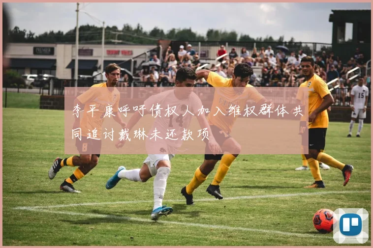 李平康呼吁债权人加入维权群体共同追讨戴琳未还款项