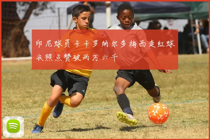 印尼球员卡卡罗纳尔多梅西走红球衣照点赞破两万六千
