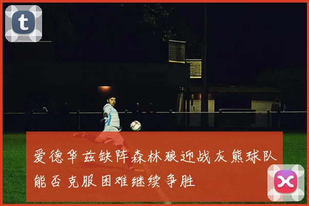 爱德华兹缺阵森林狼迎战灰熊球队能否克服困难继续争胜