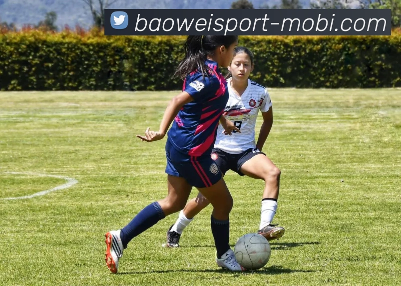 宝威体育APP 封面图